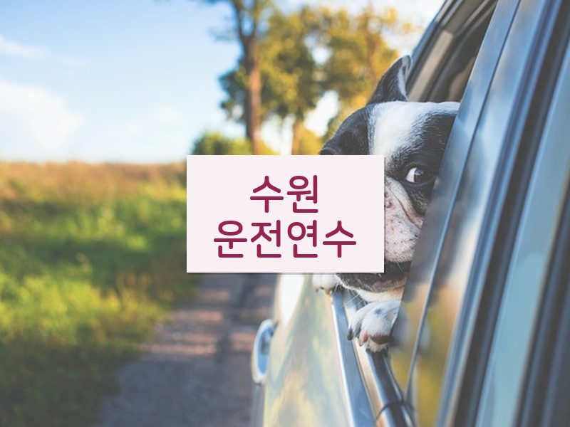 수원운전연수 후기