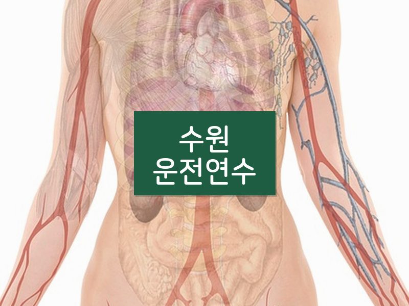 수원운전연수 후기