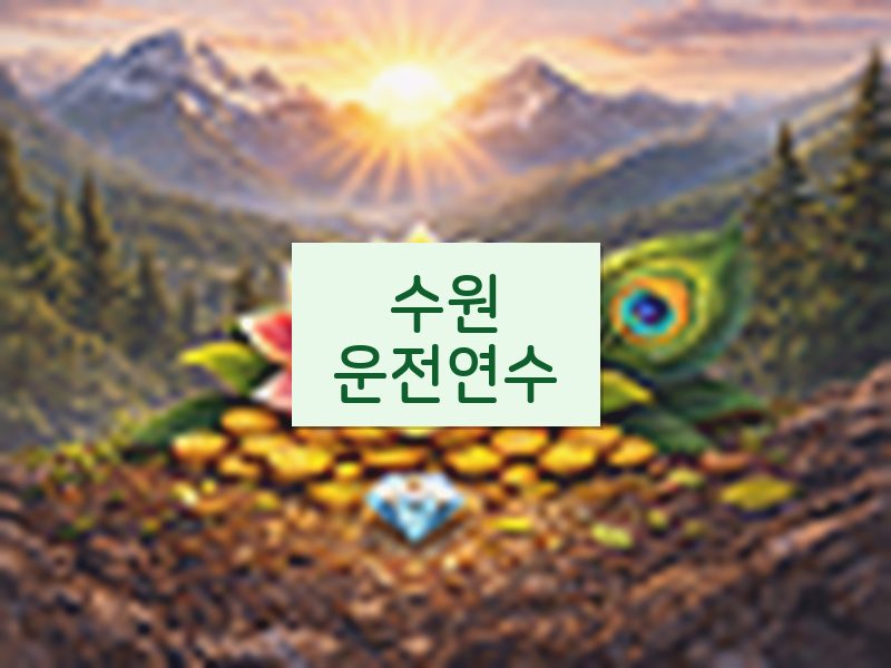 수원운전연수 후기