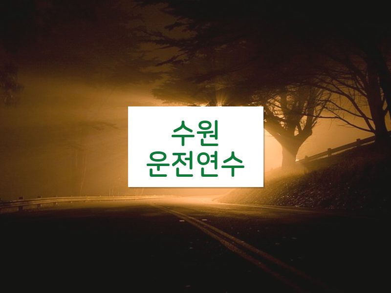 수원운전연수 후기