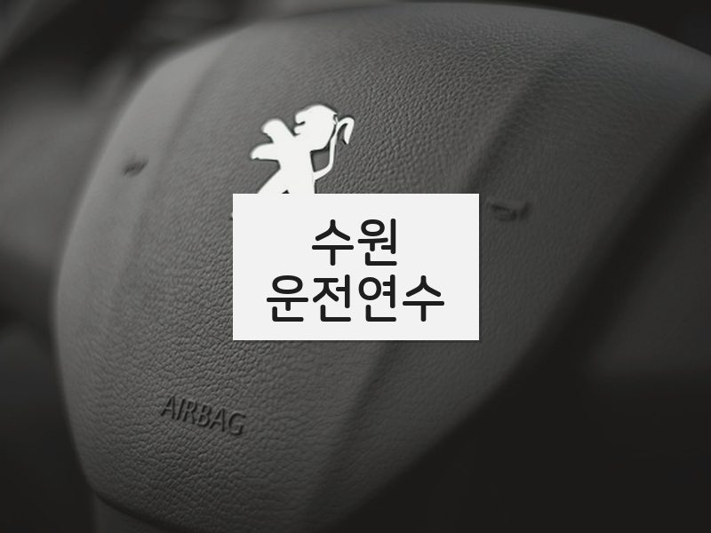 수원운전연수 후기