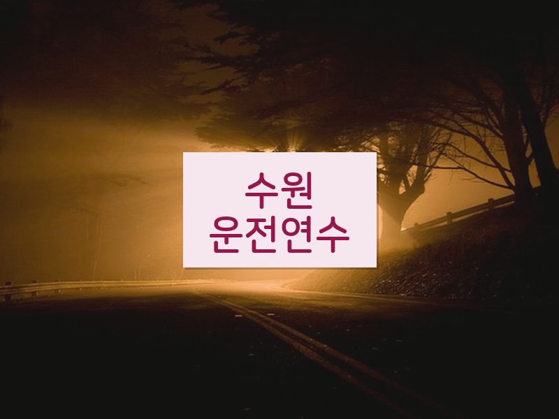 수원운전연수 후기