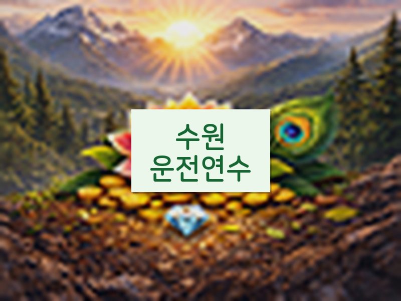 수원운전연수 후기