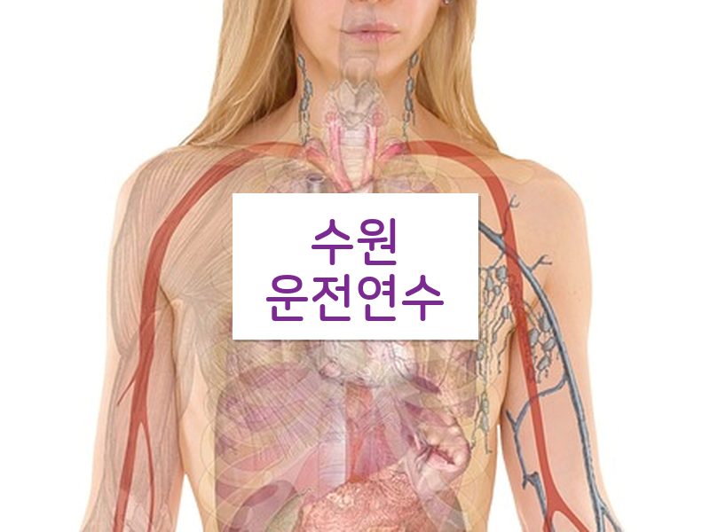 수원운전연수 후기