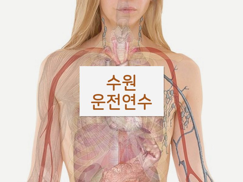 수원운전연수 후기