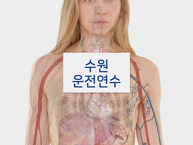 수원운전연수 후기