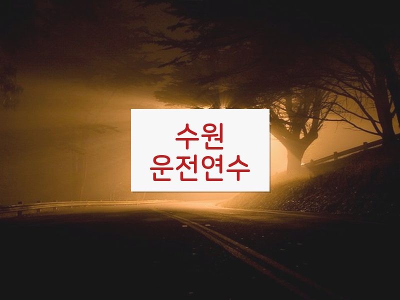 수원운전연수 후기
