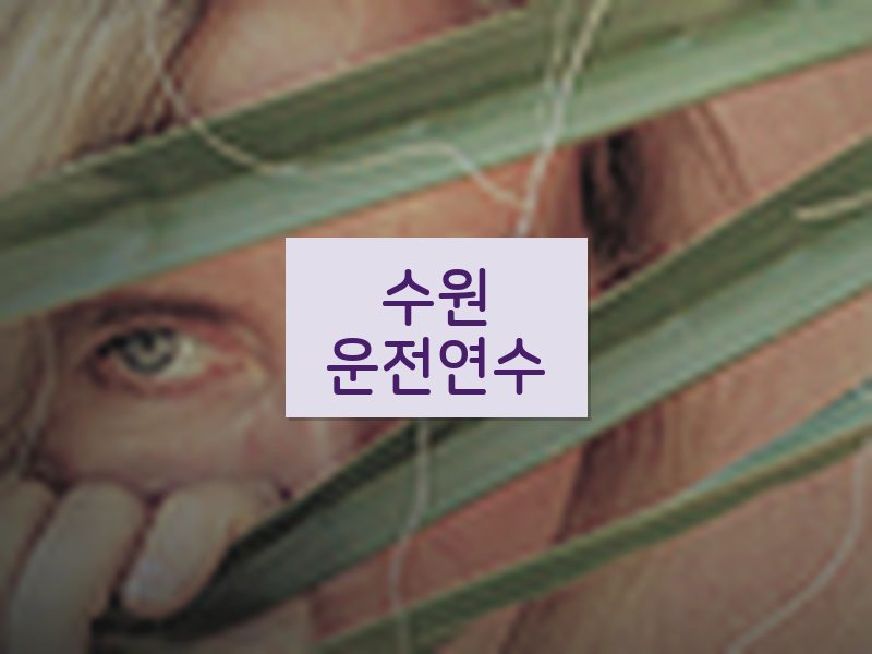 수원운전연수 후기