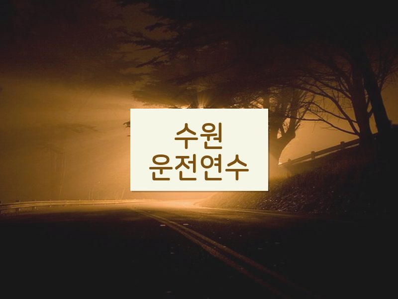 수원운전연수 후기