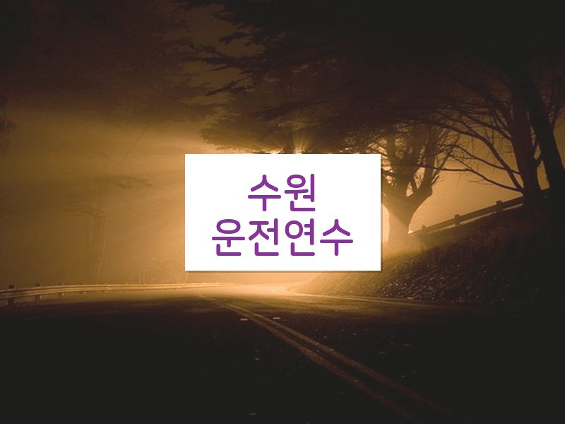 수원운전연수 후기