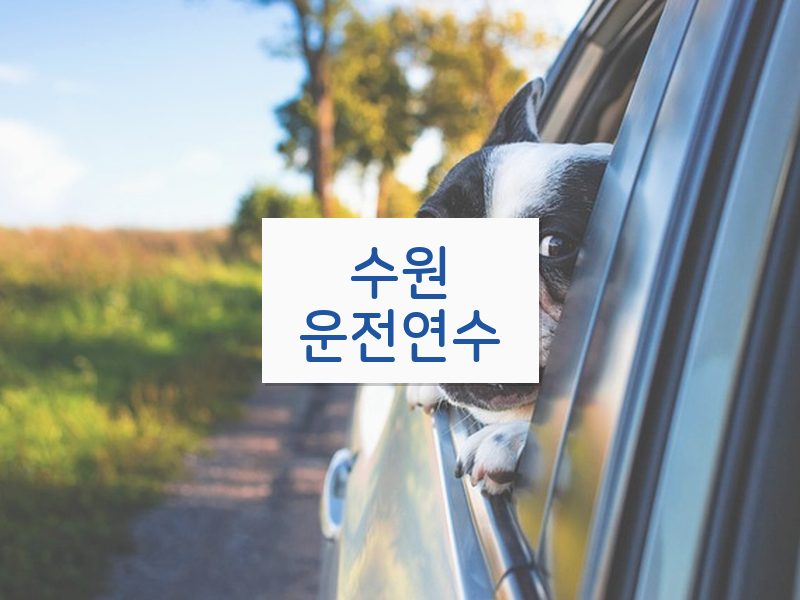 수원운전연수 후기