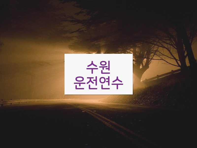 수원운전연수 후기
