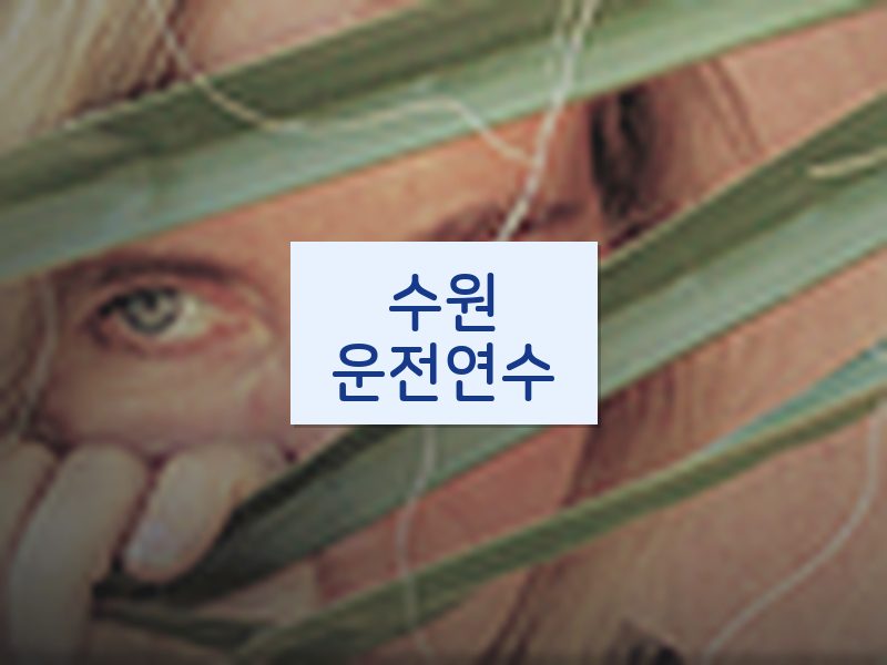 수원운전연수 후기