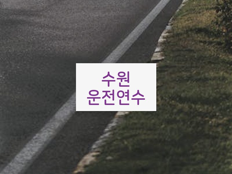 수원운전연수 후기