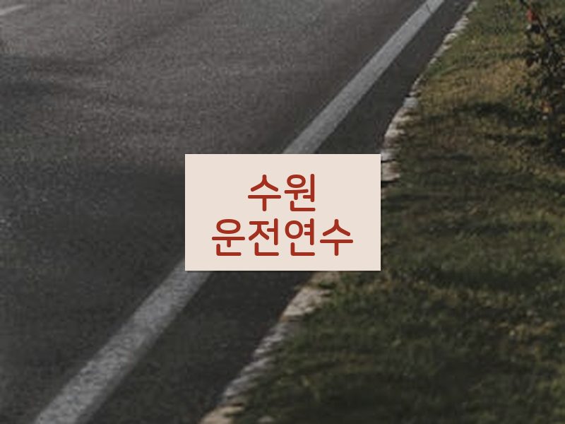 수원운전연수 후기