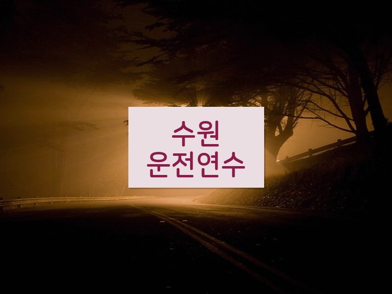 수원운전연수 후기