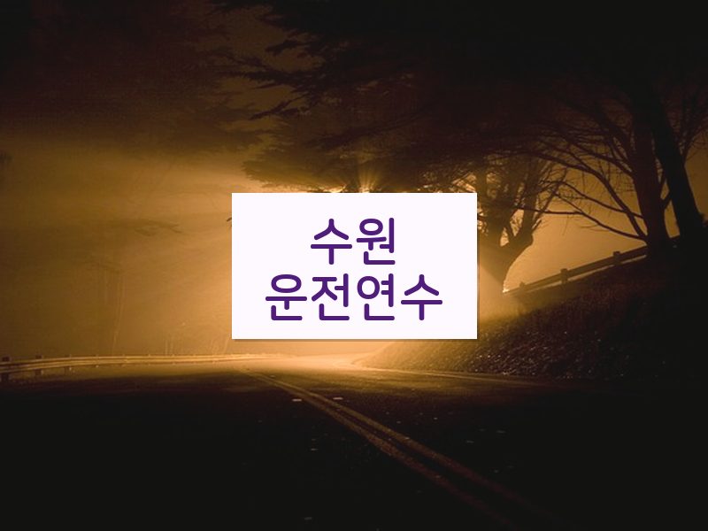 수원운전연수 후기