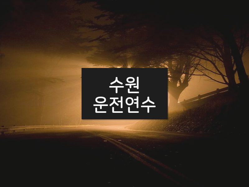 수원운전연수 후기
