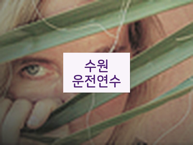 수원운전연수 후기