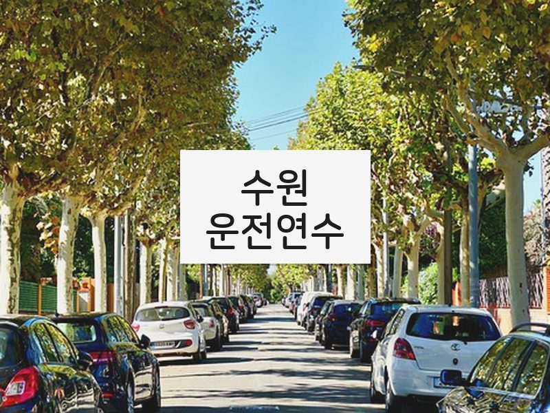수원운전연수 후기