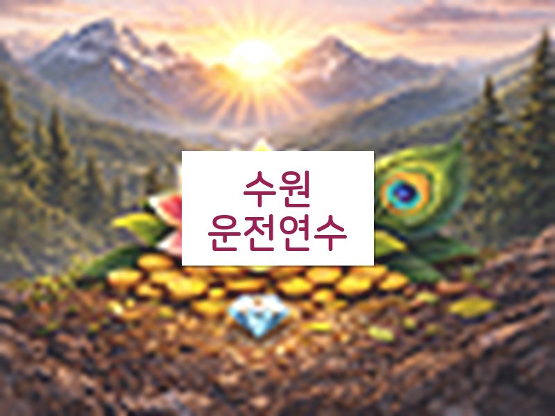 수원운전연수 후기