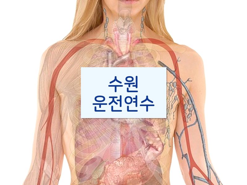 수원운전연수 후기