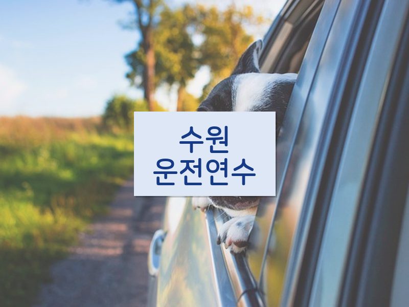 수원운전연수 후기