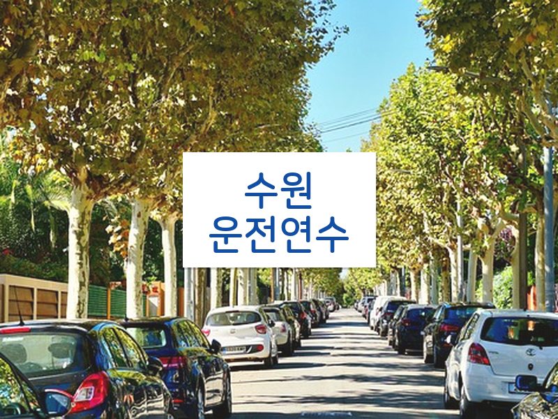 수원운전연수 후기