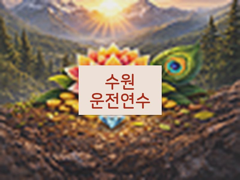 수원운전연수 후기