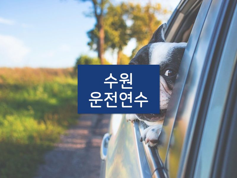 수원운전연수 후기