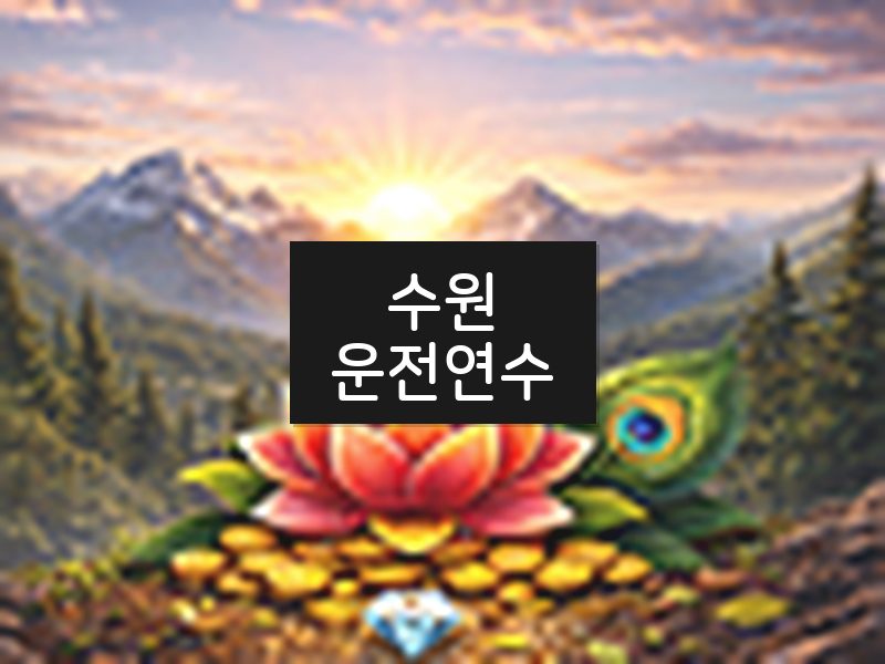 수원운전연수 후기