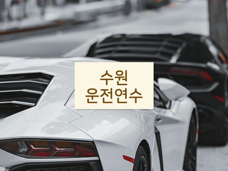 수원운전연수 후기