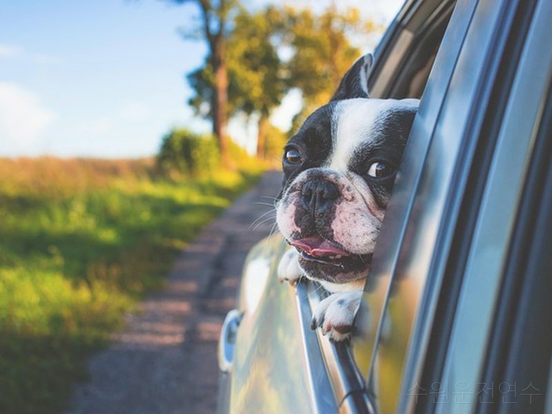 수원운전연수 후기