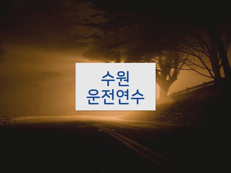 수원운전연수 후기