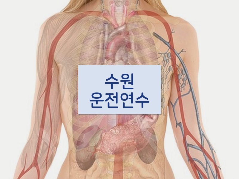 수원운전연수 후기