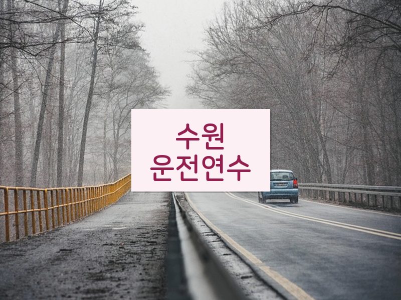 수원운전연수 후기