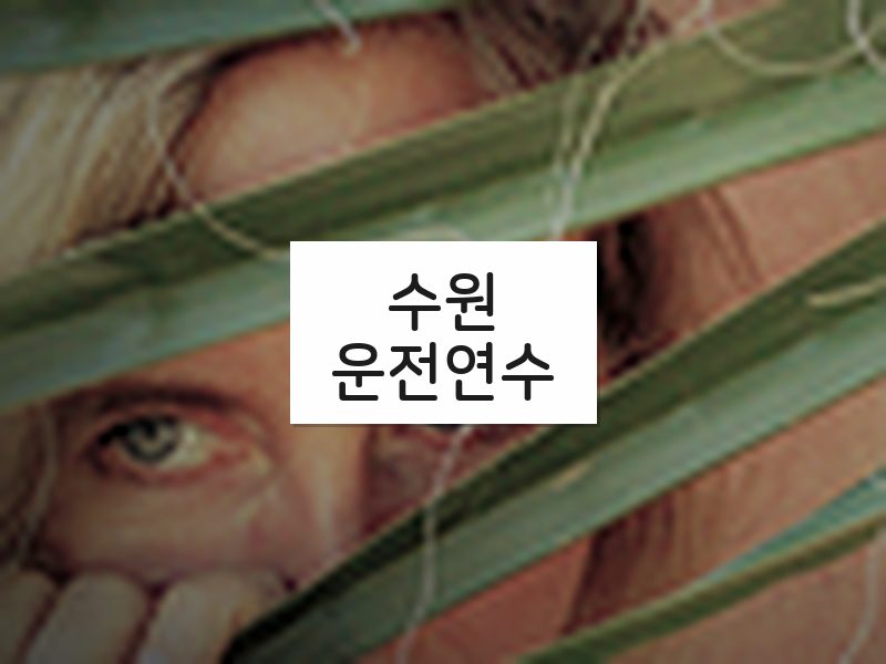 수원운전연수 후기