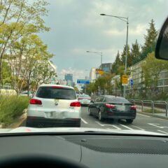 세상이 더 넓어진 느낌