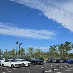 주말 드라이브의 행복