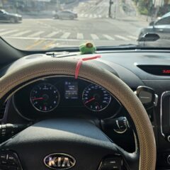 야경에 주차 완전 어려웠어요