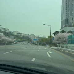 가족과 캠핑으로의 여정