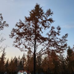 어르신 방문이 쉬워졌어요