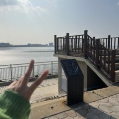 트럭 라인, 조심해야 해요