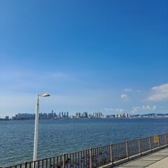 장거리 운전 고생했어요