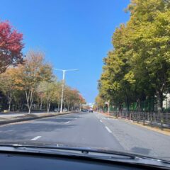 산길 운전, 빠르게 가려