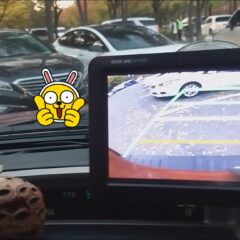 아이들 학교까지 운전 연습