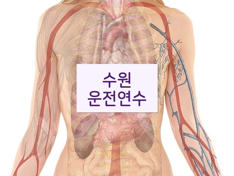 수원운전연수 후기