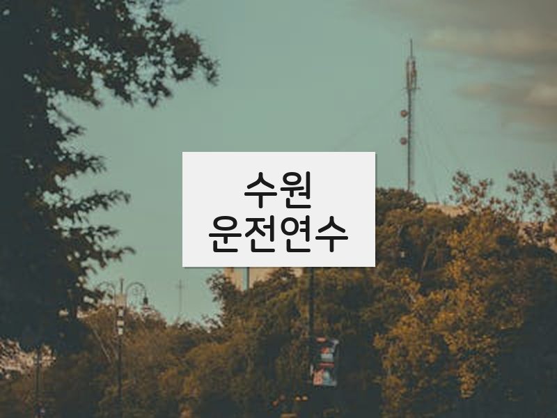 수원운전연수 후기