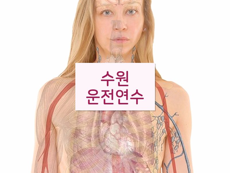 수원운전연수 후기