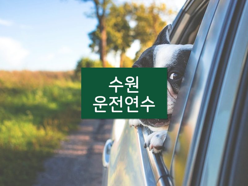 수원운전연수 후기